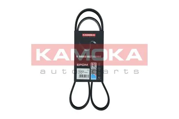 Courroie KAMOKA 7016075