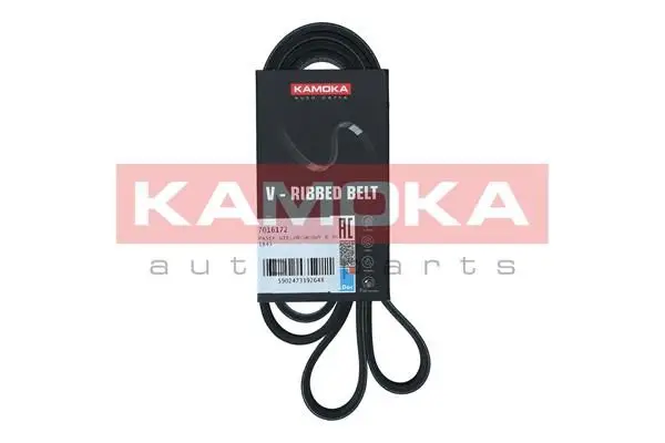 Courroie KAMOKA 7016172