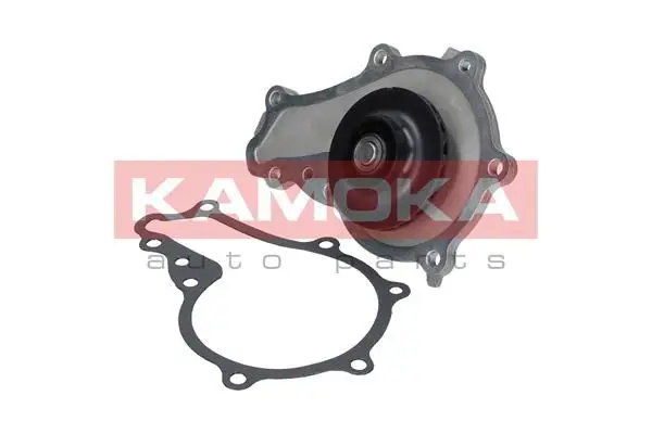 Pompe à eau KAMOKA T0081