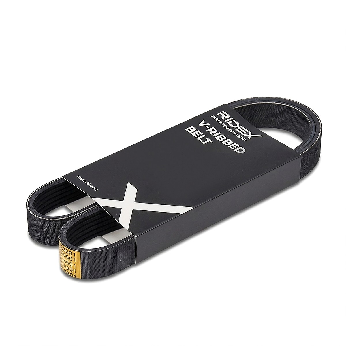 Courroie Ridex 305P0494