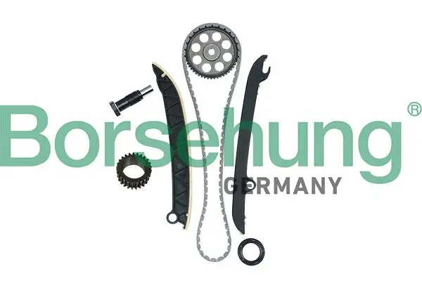Kit de distribution par chaîne Borsehung B16297