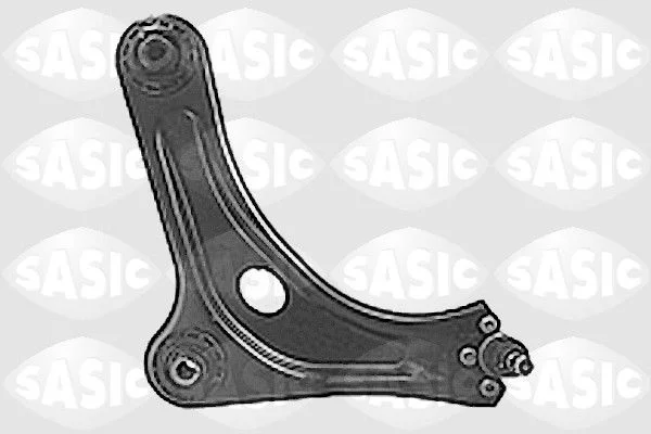 Bras et Triangle suspension SASIC 5203L43