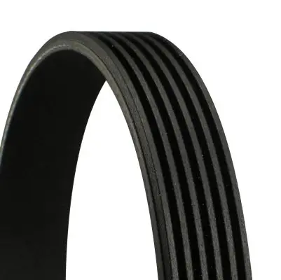 Courroie CONTITECH 6PK1020