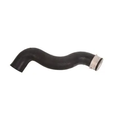 Durite de radiateur Bapmic BF0426820061