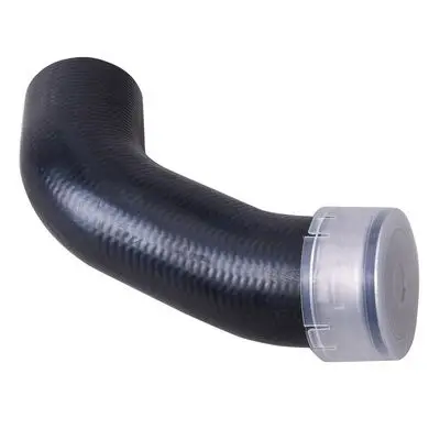 Durite turbo Bapmic BF0422700168