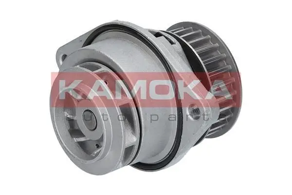 Pompe à eau KAMOKA T0024