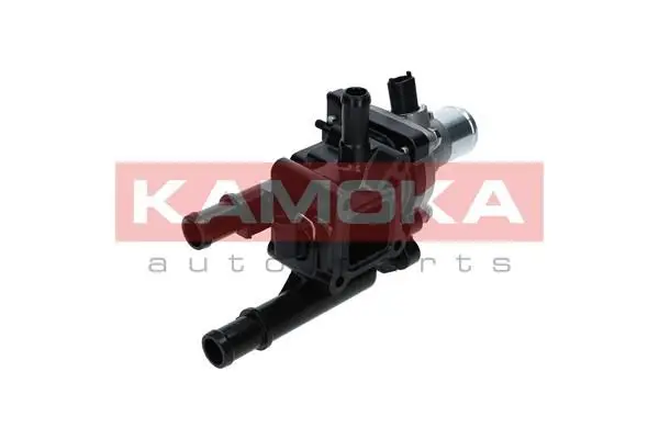 Thermostat d'eau KAMOKA 7710040