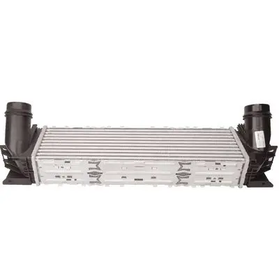 Intercooler, échangeur Bapmic TOPT1210009