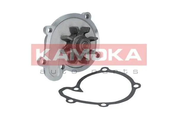 Pompe à eau KAMOKA T0217