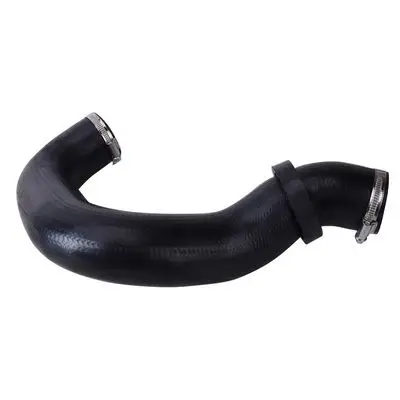 Durite turbo Bapmic BF0422700169