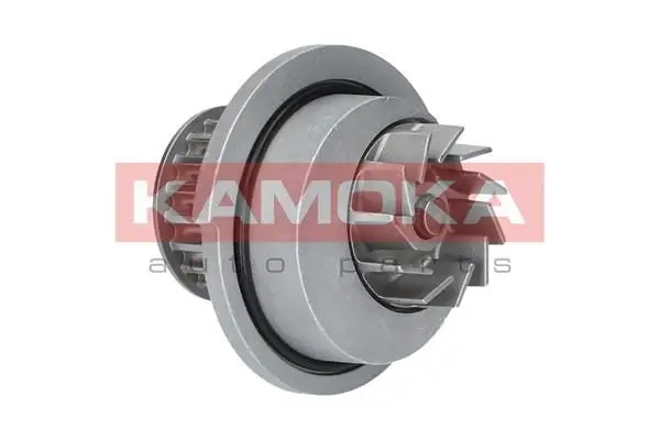 Pompe à eau KAMOKA T0070