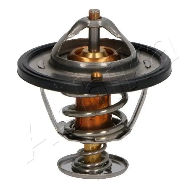 Thermostat d'eau ASHIKA 38-05-517
