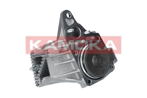 Pompe à eau KAMOKA T0238