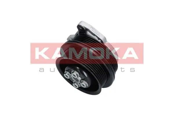 Pompe à eau KAMOKA T0278