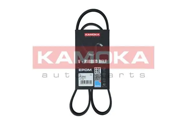 Courroie KAMOKA 7016047