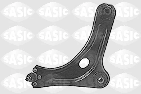 Bras et Triangle suspension SASIC 5213H63