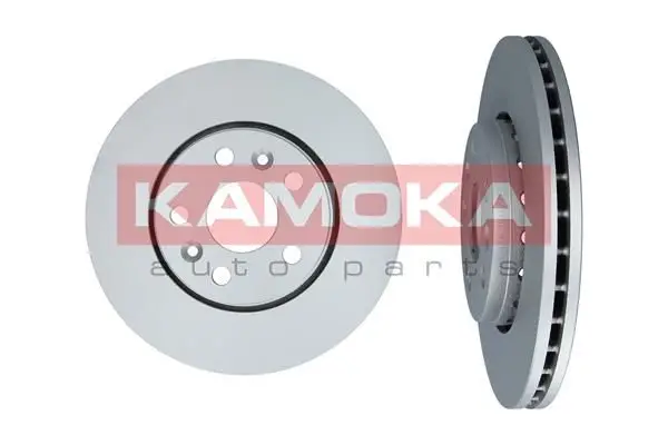 Jeu de 2 Disques de frein KAMOKA 1033466