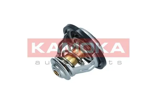 Thermostat d'eau KAMOKA 7710065