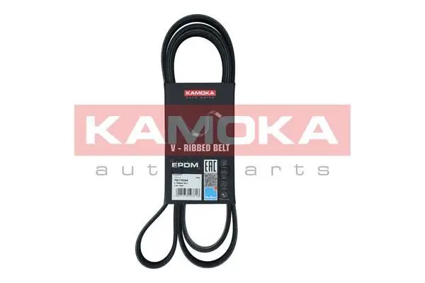 Courroie KAMOKA 7017034