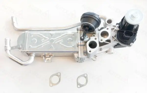 Module-EGR Engitronic EGRV077