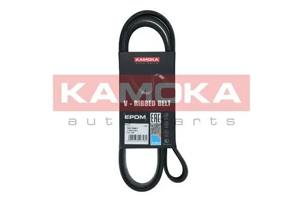 Courroie KAMOKA 7017021