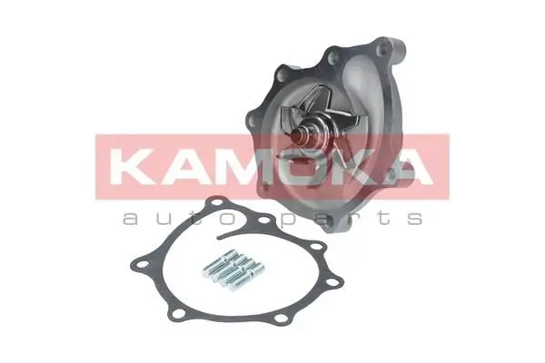 Pompe à eau KAMOKA T0169