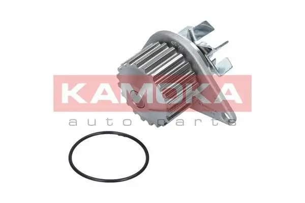 Pompe à eau KAMOKA T0078