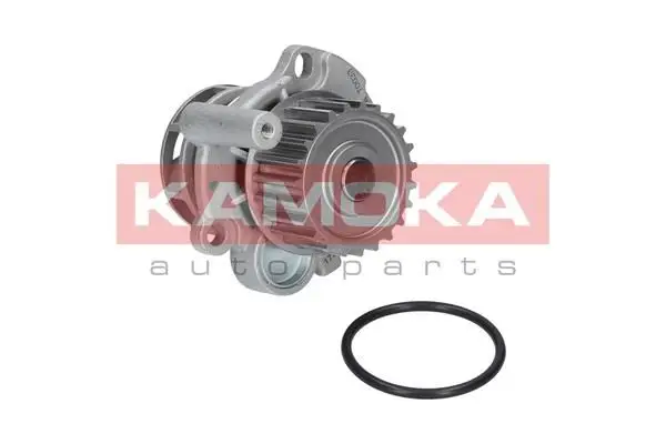 Pompe à eau KAMOKA T0033