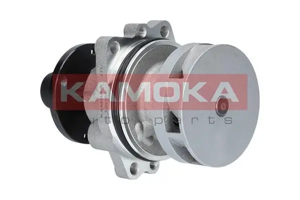 Pompe à eau KAMOKA T0058