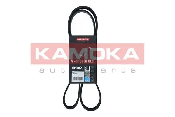 Courroie KAMOKA 7017012