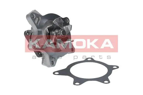 Pompe à eau KAMOKA T0268
