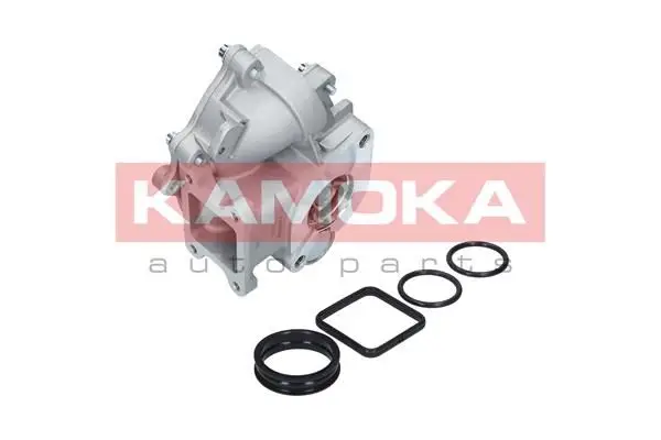 Pompe à eau KAMOKA T0049