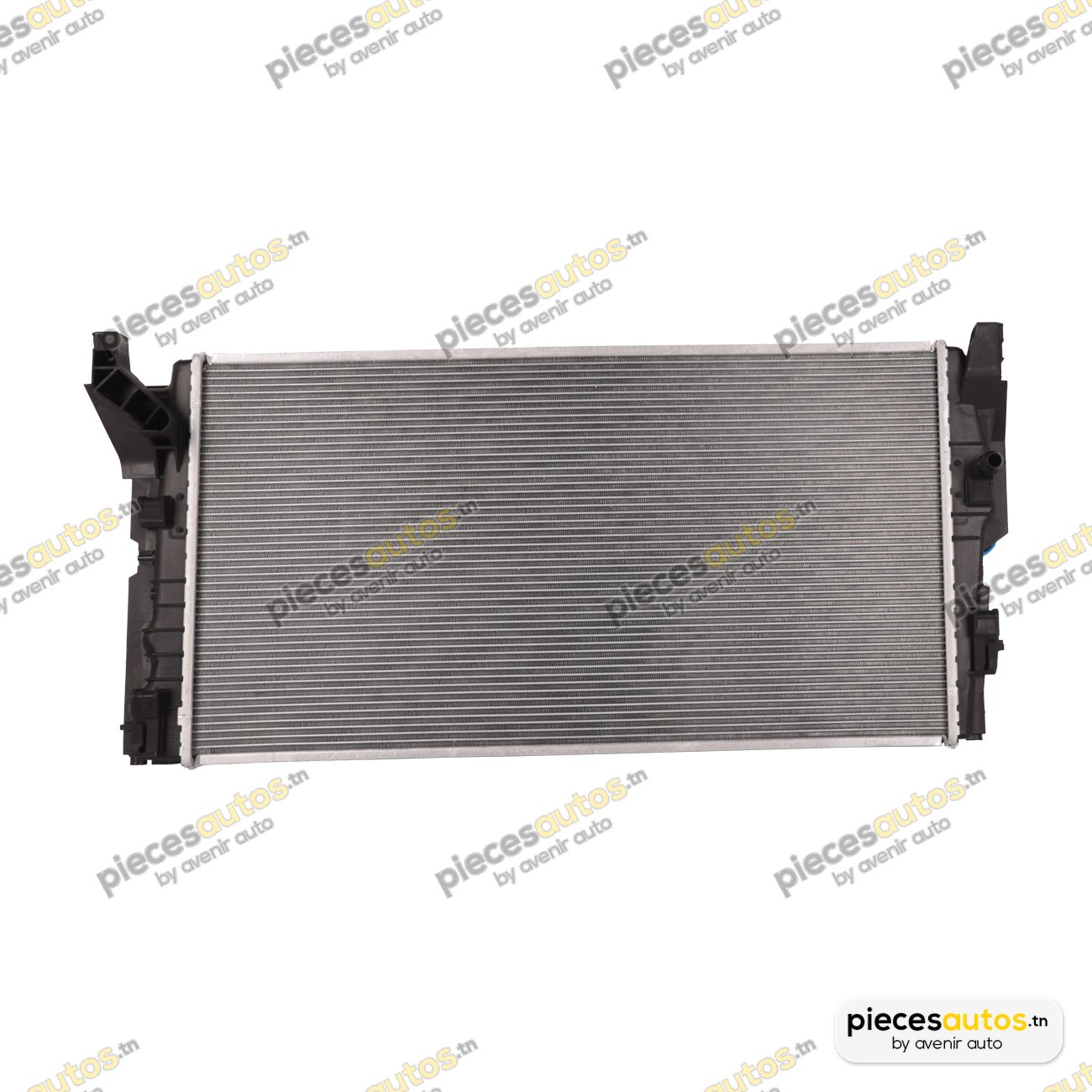 Radiateur, refroidissement du moteur Bapmic BF0426790303