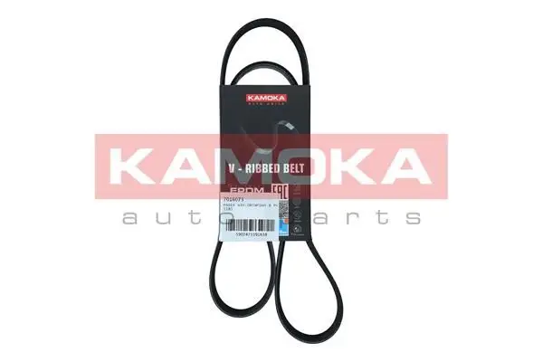 Courroie KAMOKA 7016073