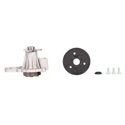 Pompe à eau Bapmic BF0426350140