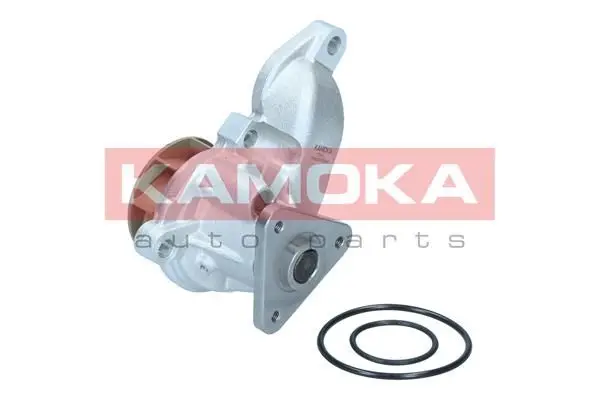 Pompe à eau KAMOKA T0315