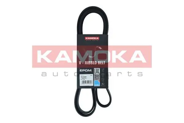 Courroie KAMOKA 7015081