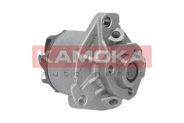 Pompe à eau KAMOKA T0138