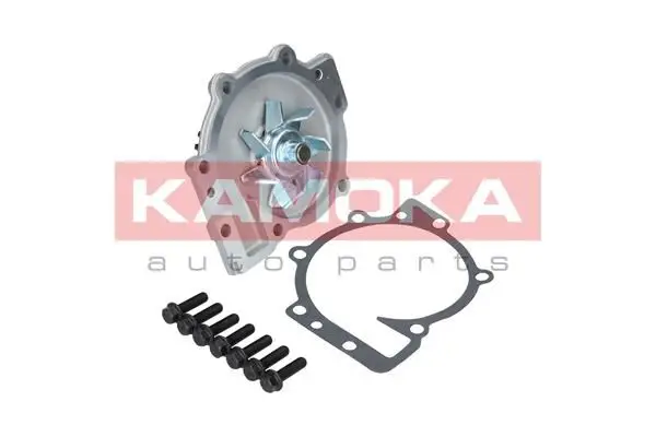 Pompe à eau KAMOKA T0137