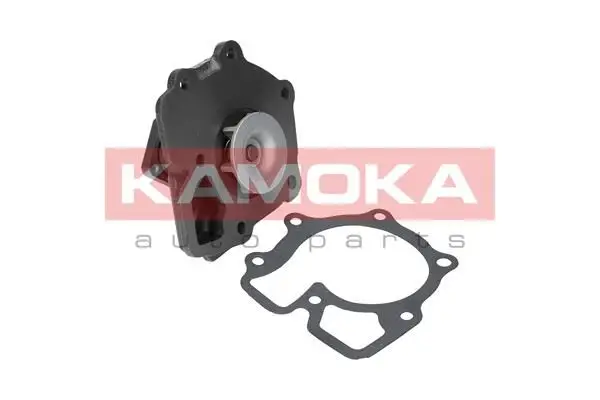 Pompe à eau KAMOKA T0143