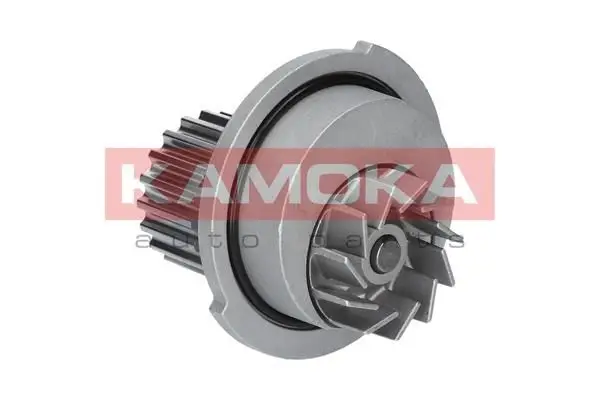 Pompe à eau KAMOKA T0066