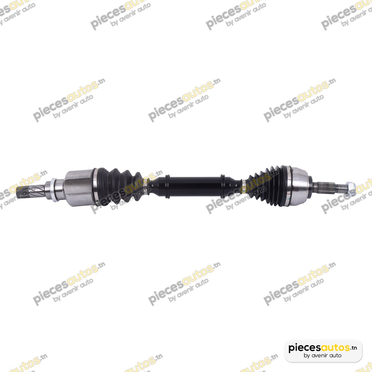 Cardan Bapmic BF0319860223