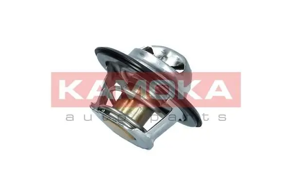 Thermostat d'eau KAMOKA 7710053
