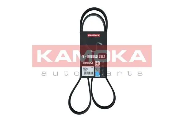Courroie KAMOKA 7017014