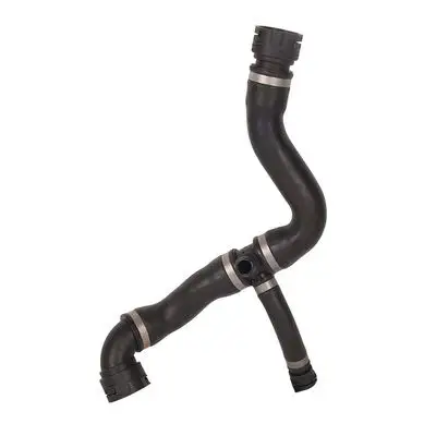 Durite de radiateur Bapmic BF0426660282