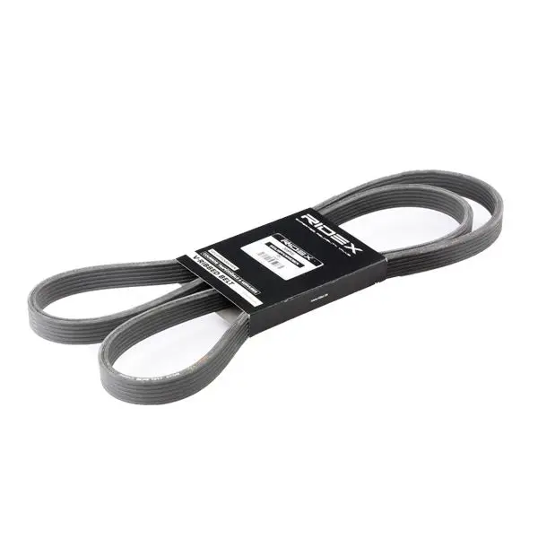 Courroie Ridex 305P0185
