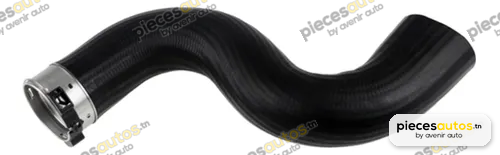 Durite turbo Bapmic BF0422700351