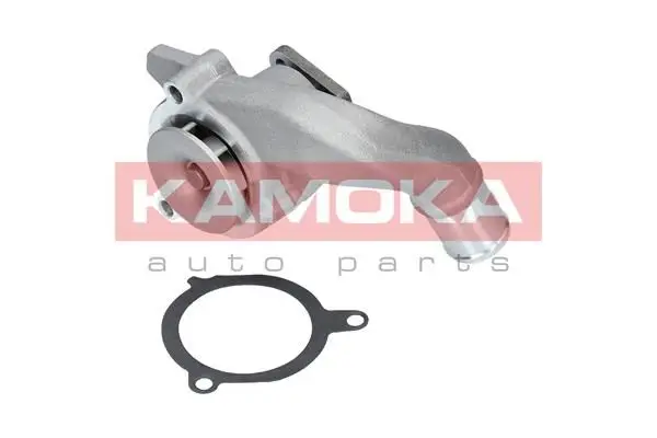 Pompe à eau KAMOKA T0133