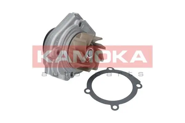 Pompe à eau KAMOKA T0013