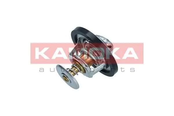 Thermostat d'eau KAMOKA 7710060